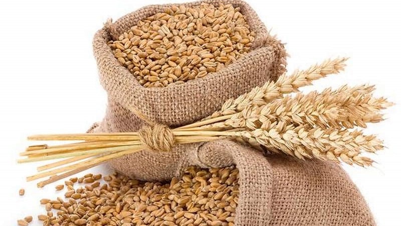 गहुँको समर्थन मूल्य तोक्न कृषिको प्रस्ताव उद्योगमा, लागतअनुसार मूल्य बढाउने संकेत