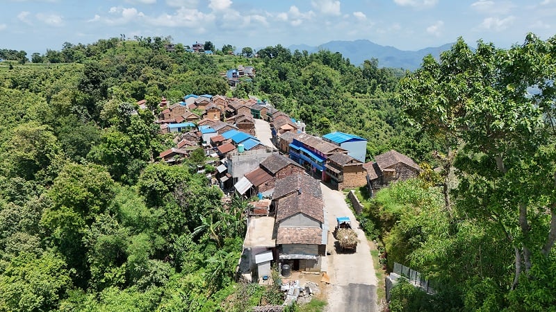 देशका ८२ प्रतिशत घरपरिवारमा इन्टरनेट सुविधा, १५-४९ वर्षका ८१.६% महिलासँग आफ्नै फोन