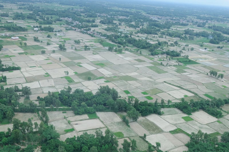 घरजग्गा कारोबारमा मधेश प्रदेश सबैभन्दा अगाडि, २० आनाभन्दा माथिका प्लटको कारोबार बढी