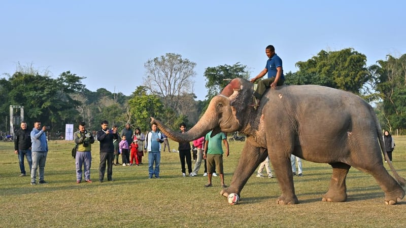 हात्ती महोत्सवको १९औं संस्करण सौराहामा शुक्रबारदेखि, पर्यटकलाई होटलमा १० प्रतिशत छुट