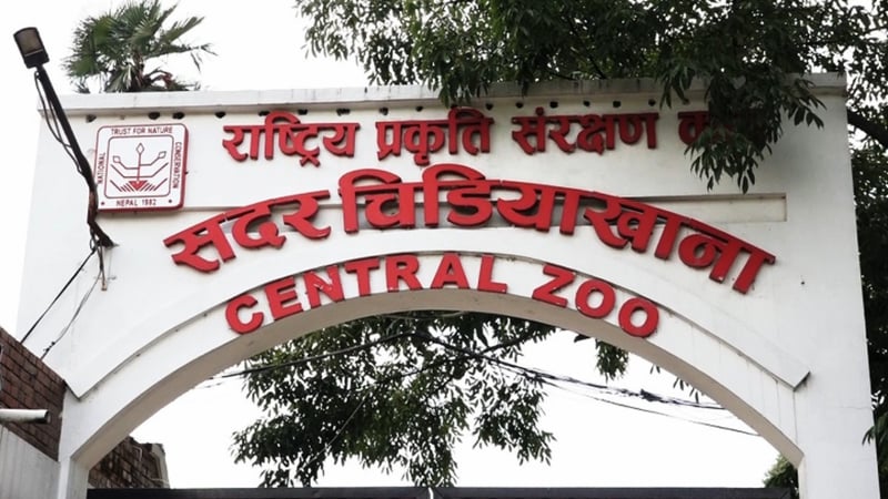 जावलाखेल चिडियाखानामा ११२ प्रजातिका एक हजार २७३ जीवजन्तु