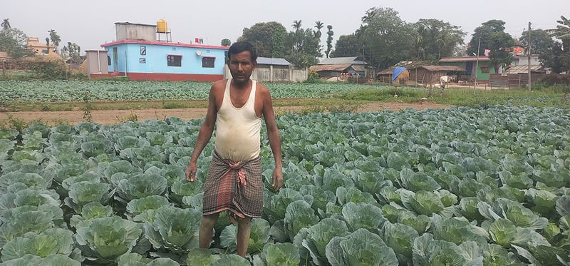 तरकारीखेतीले चिनिँदै बाह्रदशीको राधानगर गाउँ