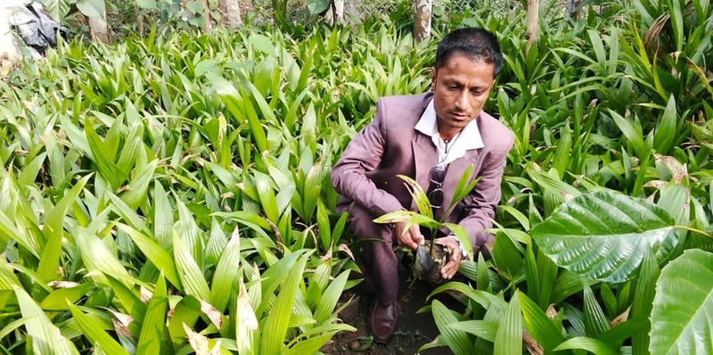 सफलताका कथा : जीवनको तस्बिर बदलेका उद्यमी भीमबहादुर