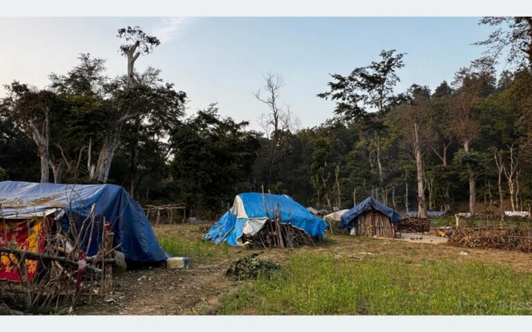 जङ्गलमा बास, जोखिमपूर्ण जीवन