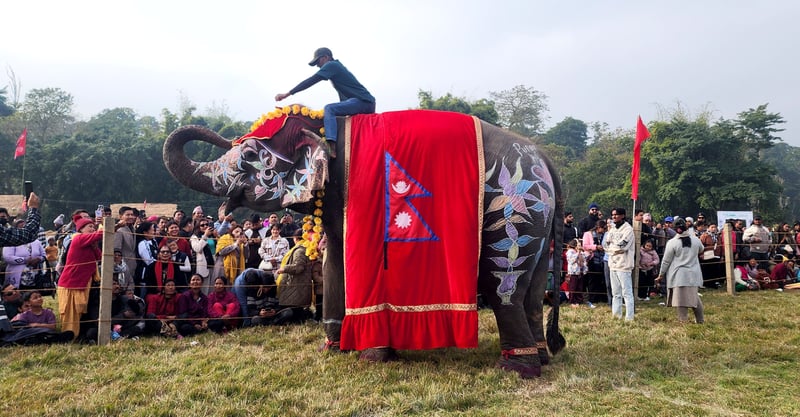 चितवनको पर्याय बन्दै ‘हात्ती तथा पर्यटन महोत्सव’