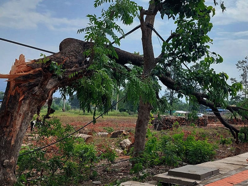 पछिल्लो २४ घण्टामा विपद्का घटनाबाट ४ जनाको मृत्यु, १४ घाइते