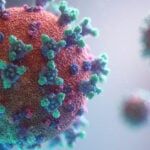 Health Ministry Urges To Remain Alert Of Nipah Virus Infection Despite Low Risk