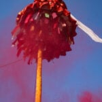 Ritualistic Wooden Pole With Chir Erected At Basantapur, Marking Start Of Holi Festival