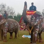 Final Day Of Elephant Festival In Sauraha Today