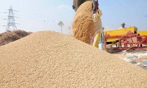 11,000 quintals of paddy purchased from farmers in Mahottari and Dhanusha