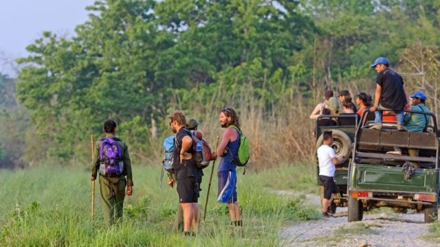 Tourist arrivals rise in Chitwan National Park