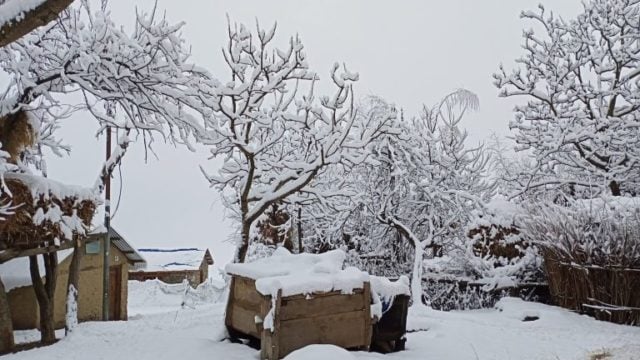 Snowfall in Humla disrupts daily life
