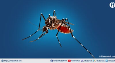Over 7,000 people affected by dengue in Sudurpaschim over three years