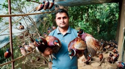 Tanahun’s Dhakal family thrives in commercial agriculture