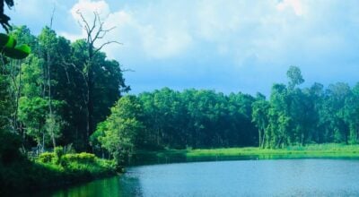 Morang’s Betana Wetland emerges as top choice for tourists