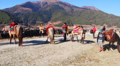 Cold weather fails to deter Dhorpatan visitors