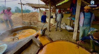 Sarlahi farmers rush to produce sugar ahead of Maghe Sankranti