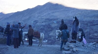 Mustang receives over 325,000 tourists in seven months