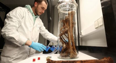 Scientists reveal how exercise protects brain from Alzheimer’s: Study