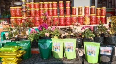 Lollipops, chhurpi, and more: Ilam tourism drives cottage industry growth