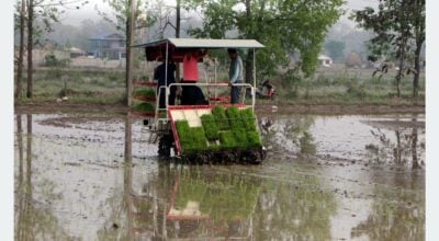 Farmers increasingly adopting machines for paddy planting