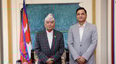 Yogesh Bhattarai meets President Paudel, thanks him for role after Gen-Z movement