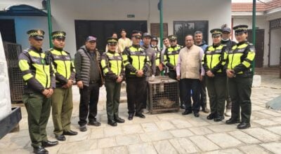 Leopard rescued from school store in Lalitpur