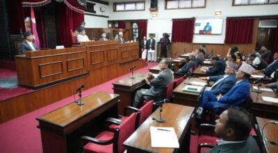 Presidents of four National Assembly committees elected unopposed