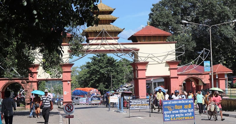 Cardamom exports up by 60 percent