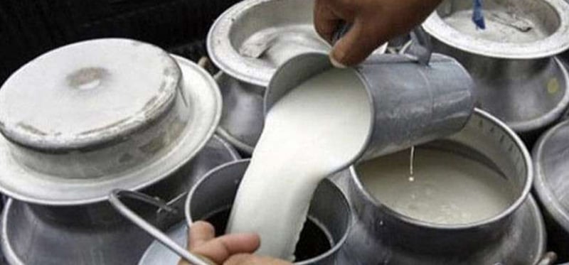 Milk availability increasing in Sudurpaschim province