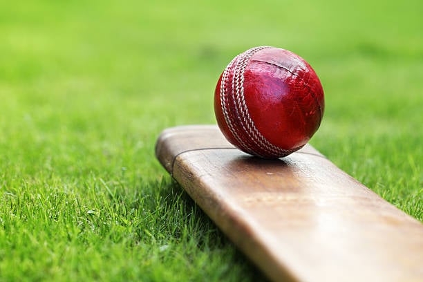 Indo-Nepal T-20 championship: Assam wins opening match