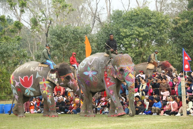 Final day of Elephant Festival in Sauraha today