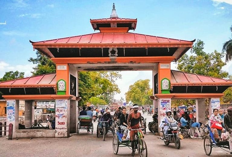 Herbs export through Nepalgunj border customs increases