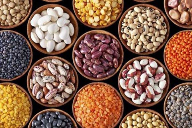 Setting up of community seed bank at every local level stressed