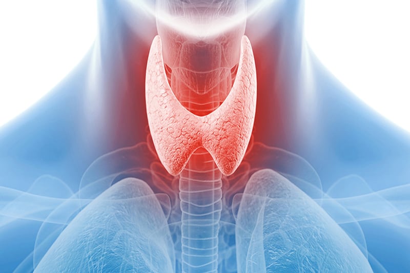 Thyroid disorders can affect daily life, experts warn