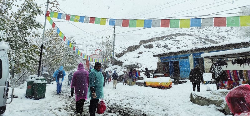 Light rain and snowfall likely in some high hill and mountainous areas