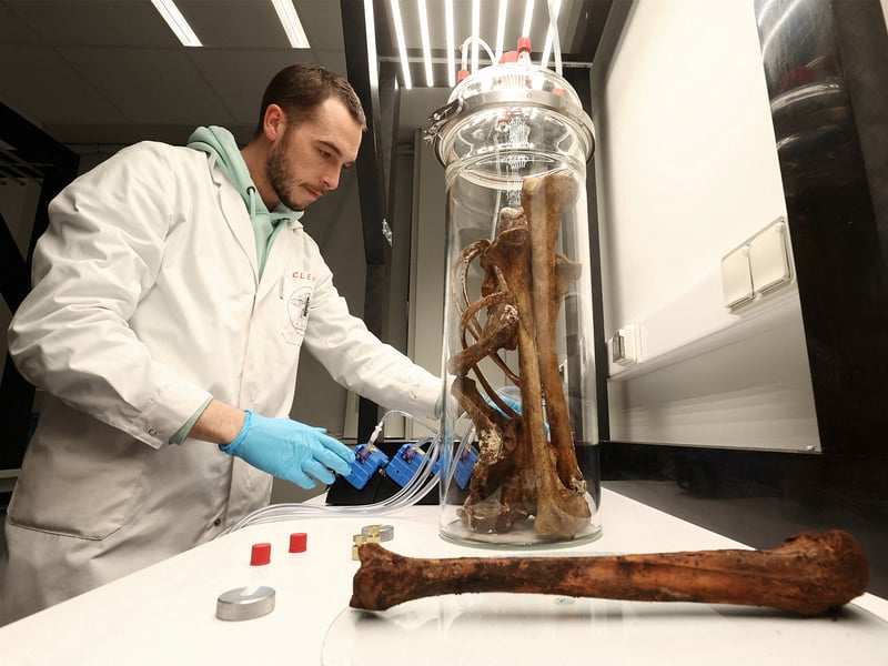 MRI scans show exercise can make the brain look younger: Study