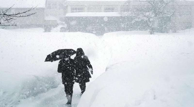 Death toll from heavy snowfall in Japan rises to 46
