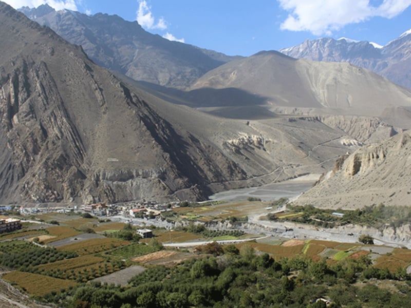 Mustang releases 4,491-kg waste in six months for recycling