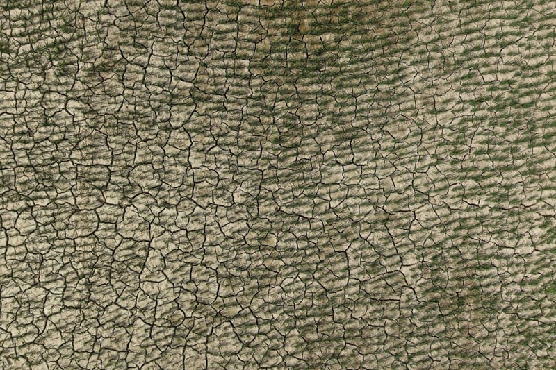 Terai-Madhesh, Nepal’s breadbasket, is running dry – and nobody is watching