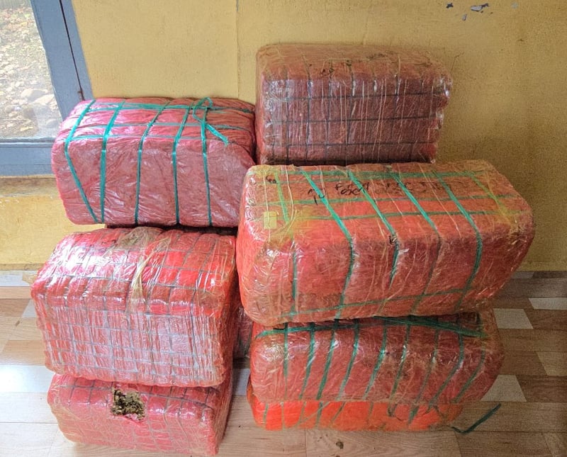 2 Indians arrested with 330 kg marijuana in Morang