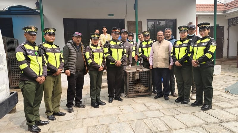 ललितपुरको कुसुन्तीस्थित विद्यालयबाट चितुवाको उद्धार