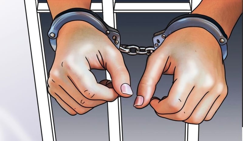 अमेरिकी डलर, युरोसहित विमानस्थलबाट स्वीडिस नागरिक पक्राउ