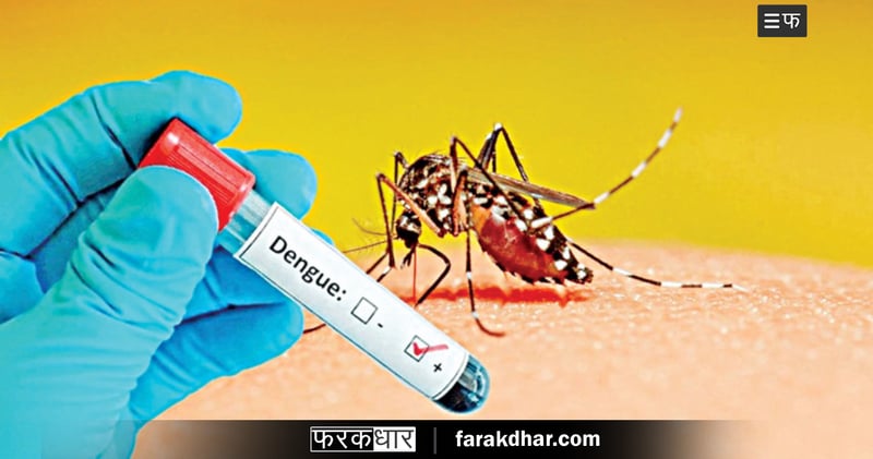 बंगलादेशमा एक वर्षमा एक लाख जना डेङ्गुबाट संक्रमित, ४१२ जनाको मृत्यु