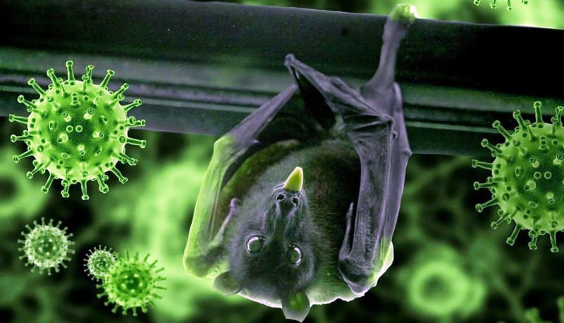 सङ्क्रमण रोक्न अन्तरिम निर्देशिका