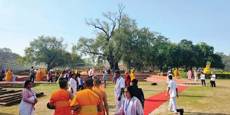 पन्ध्र प्रतिशतले बढे पर्यटक