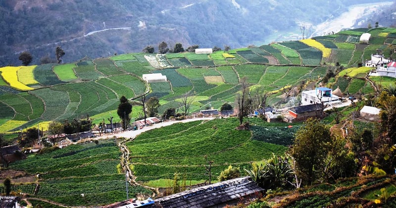 सल्यान फाँटको तरकारी