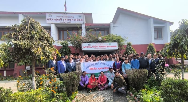 गहुँ खेती प्रविधिबारे कृषक तालिम