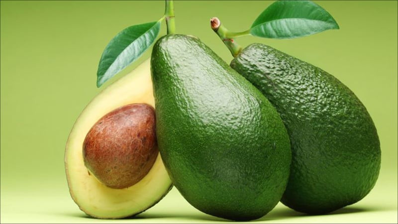 एभोकाडोमा खटिराजन्य रोगको समस्या