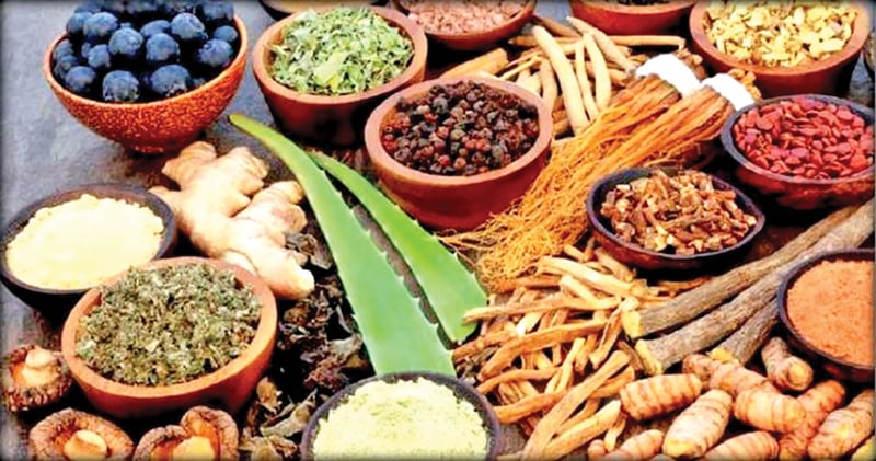 औषधी बनाउने सूत्र कानुन अभावमा अलपत्र